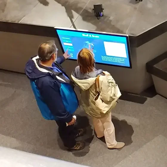 Visitors interacting with the Apatosaurus Brain Case touchscreen kiosk