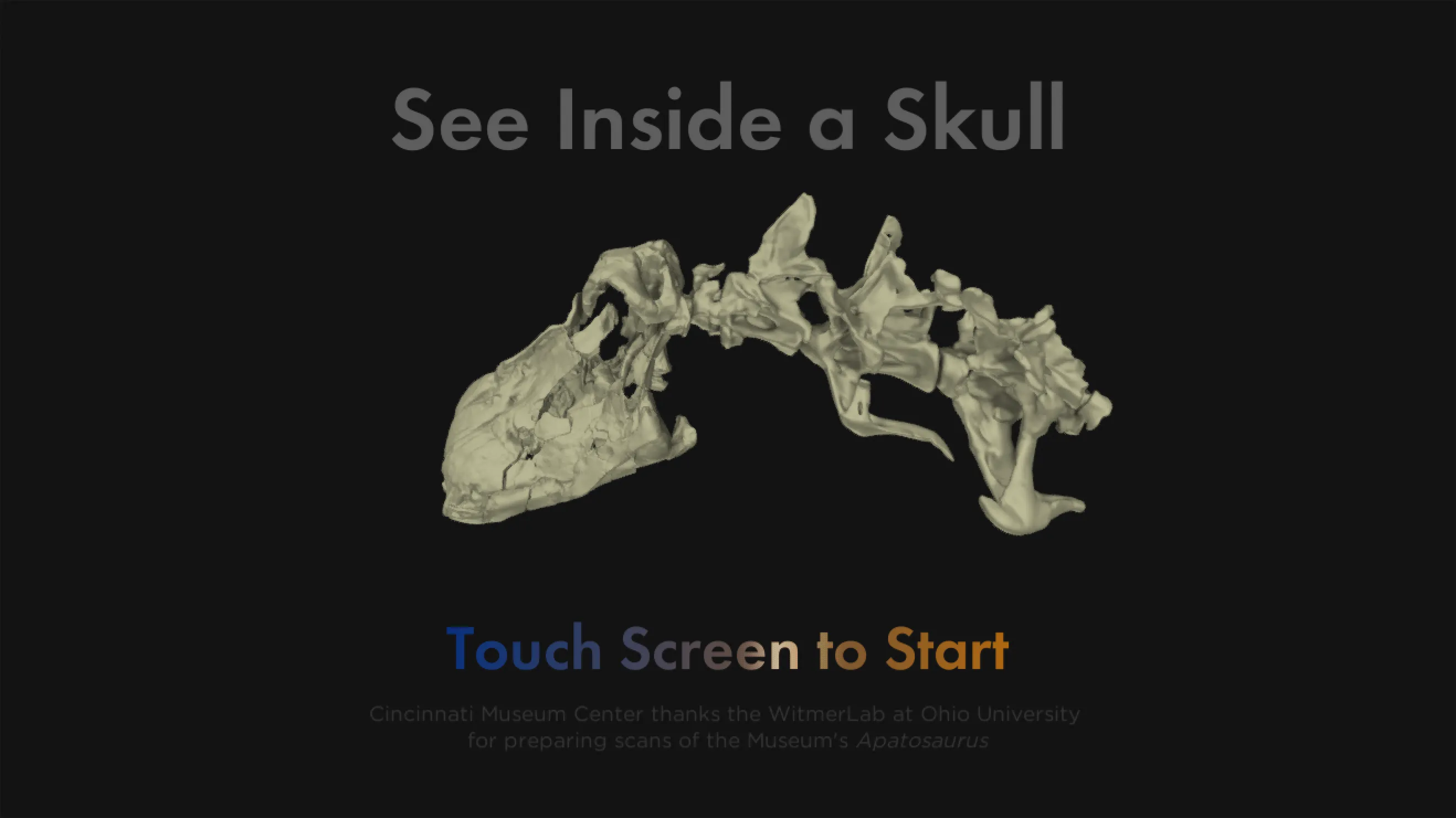 3D model interface showing the Apatosaurus skull and vertebrae