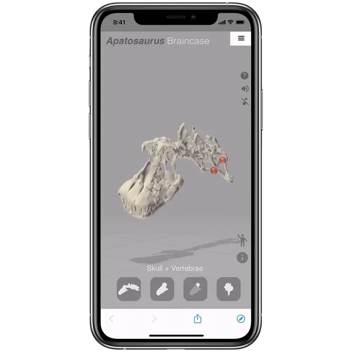 Smartphone screen showing the Apatosaurus Braincase app from CMC In Hand